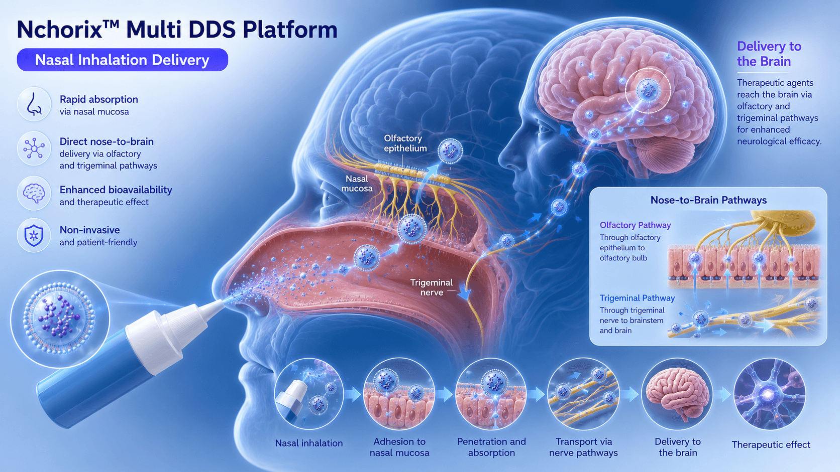 Nasal Inhalation Delivery