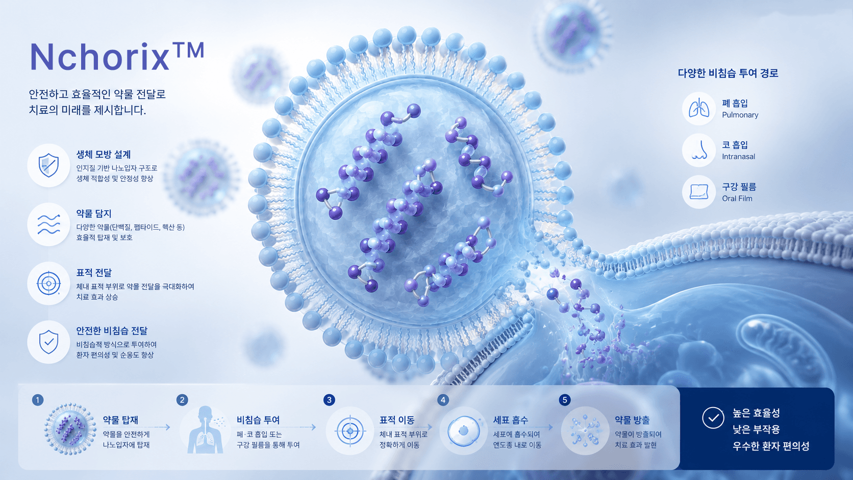 Nchorix™ 플랫폼 기술 개요
